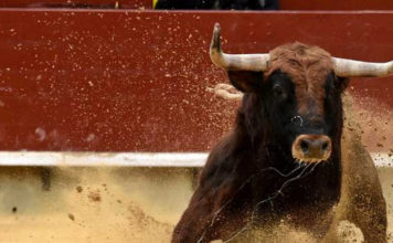 Dow Jones Up Nearly 400 Points As Bulls Rush Into Stock Market – Investor’s Business Daily