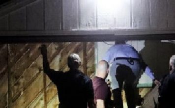 Police identify person of interest in Lueck case; former prosecutor calls lack of evidence ‘scary’ – KSL.com