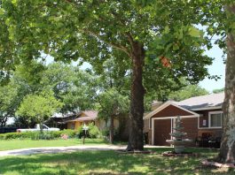 2019 Real Estate Edition: 4 real estate trends to know in Grapevine, Colleyville, Southlake – Community Impact Newspaper