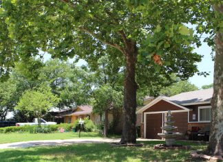 2019 Real Estate Edition: 4 real estate trends to know in Grapevine, Colleyville, Southlake – Community Impact Newspaper