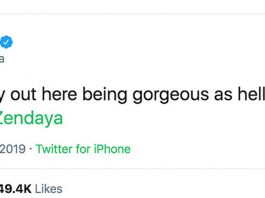 Why Is #SelfiesForZendaya Trending On Twitter? – StayHipp