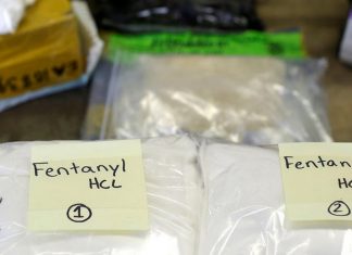 Drug Overdose Deaths Drop in U.S. for First Time Since 1990 – The New York Times