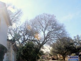 4 real estate trends to know in New Braunfels in 2019 – Community Impact Newspaper