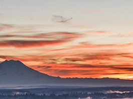 Learn from Industry Experts the ‘State of Real Estate’ at the 11th Annual Real Estate Forum – ThurstonTalk