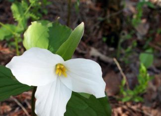 Investments to Improve Emergency Response in Ontario – Government of Ontario News