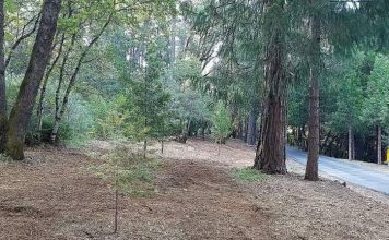 Barbara Bashall: Protect your most valuable investment – The Union of Grass Valley