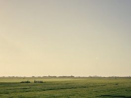 California Farm Real Estate on a Steady Rise | 2019-08-19 – Agri-Pulse