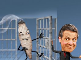 Seed Money: Real Estate as a Backdoor to Cannabis Investing – Commercial Observer