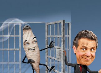 Seed Money: Real Estate as a Backdoor to Cannabis Investing – Commercial Observer