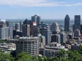 The next start-up cities that will transform the global economy – World Economic Forum