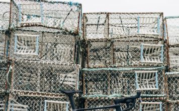 Desire: Trending topics – Journal – Rouleur