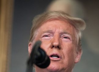 Toledo Is Trending Because Of The #WhiteSupremacistPresident | The Latest Hip-Hop News, Music and Media – Hip-Hop Wired