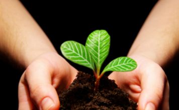 Sustainable funds attract record levels of investment – www.businessgreen.com