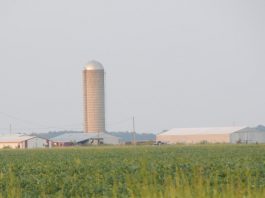 U.S. Farm Real Estate Up $60 Per Acre – agprofessional.com