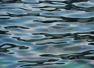 WATER QUALITY: Pollution is hobbling global economic growth — World Bank – E&E News