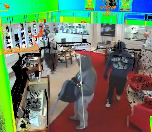 Police investigations: 3D laser scanning and CCTV – Police News