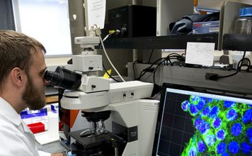 UTSA adds Master of Science in Biomedical Technology Commercialization – UTSA Today