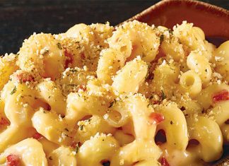 Louisville Mac & Cheese Festival – Louisville Eccentric Observer