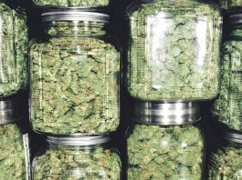 Chicago new recreational marijuana laws may have dispensaries rethinking real estate options – Crain’s Chicago Business