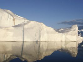 Why a global recession isn’t inevitable – World Economic Forum