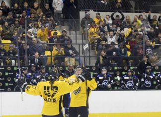 Framingham investment firm buys Boston women’s hockey team – Worcester Business Journal