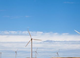 Renewable Energy Investment to Surpass USD 2.5 Trillion for 2010-2019, UNEP Report Finds | News – IISD Reporting Services