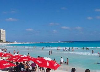 Private investment spurs development of fibre optic network – Mexico News Daily