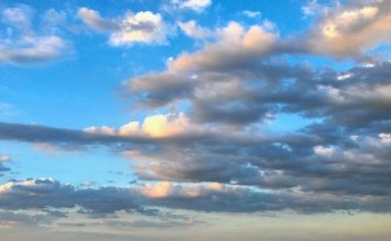 Agricultural Technology Moves into Peach County, GA – Innovation & Tech Today