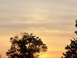 Details of the contract are crucial in a pleasant real estate closing – Ohio’s Country Journal and Ohio Ag Net