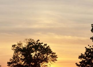 Details of the contract are crucial in a pleasant real estate closing – Ohio’s Country Journal and Ohio Ag Net