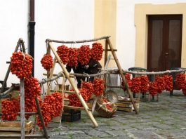 Tomatoes & Investments – Pensions & Investments